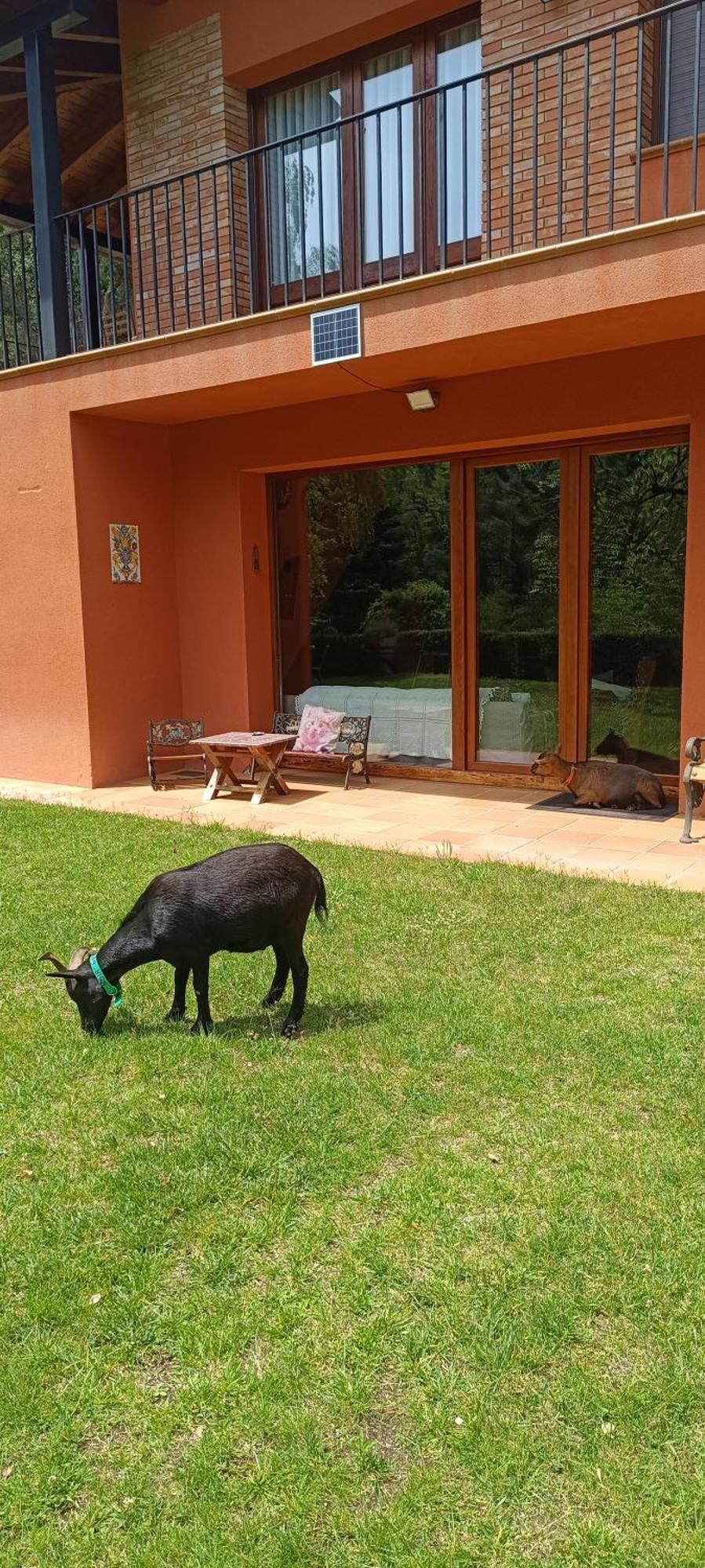 Ca La Montse Villa Viladrau Kültér fotó