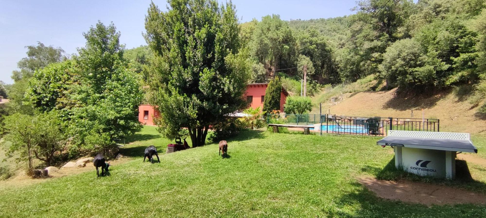 Ca La Montse Villa Viladrau Kültér fotó